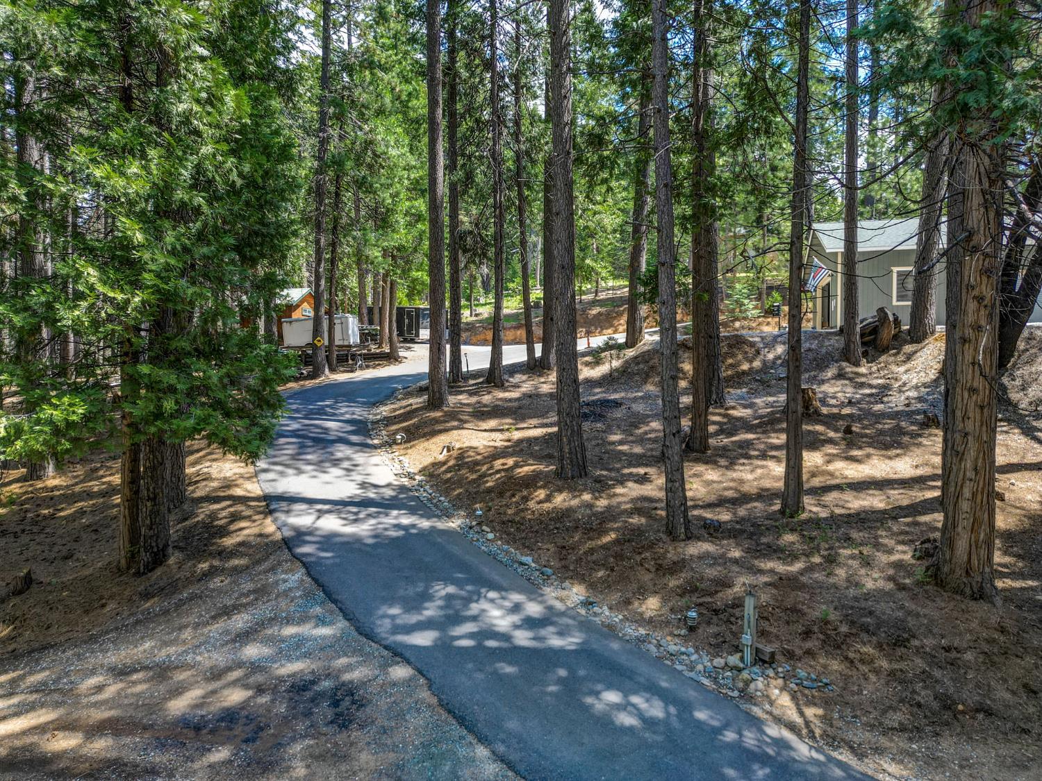 1641 Meadowview Road Arnold, CA 95223 - Photo 57 of 71 Driving up the driveway