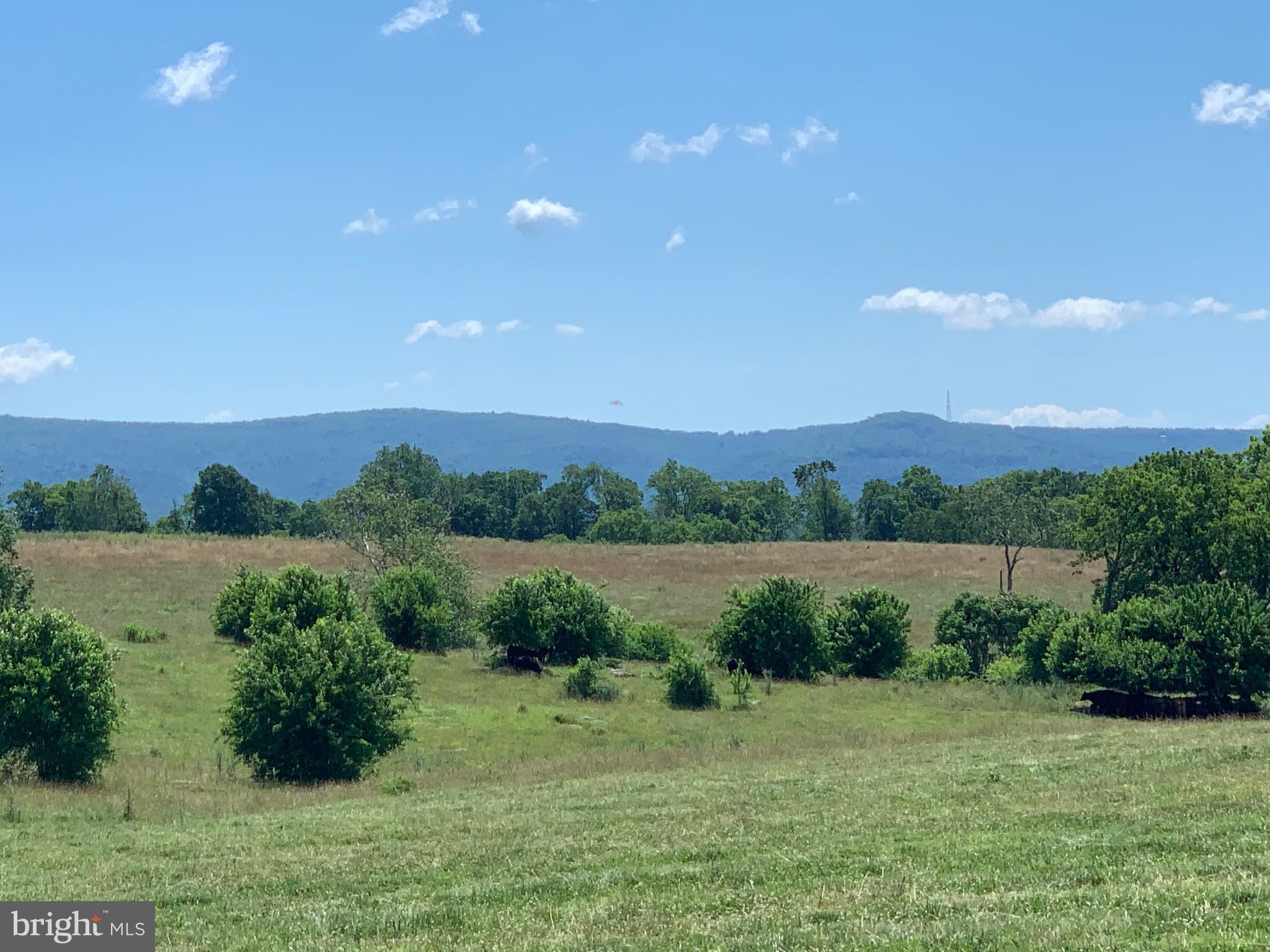 Shepherds Mill Road Berryville, VA 22611 - Photo 13 of 17 Gallery Image 13