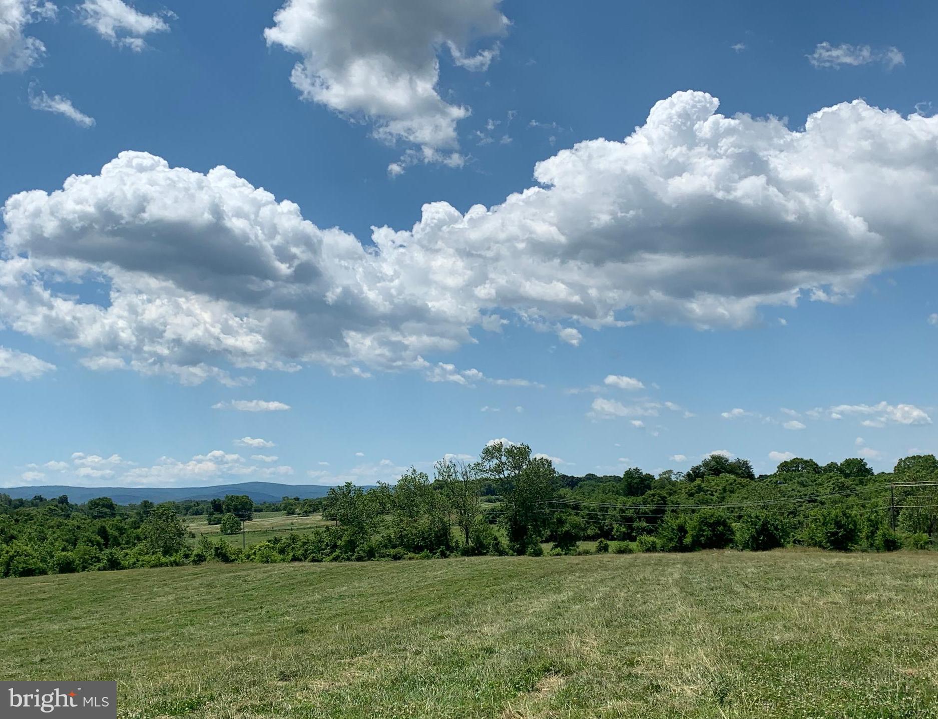 Shepherds Mill Road Berryville, VA 22611 - Photo 15 of 17 Gallery Image 15
