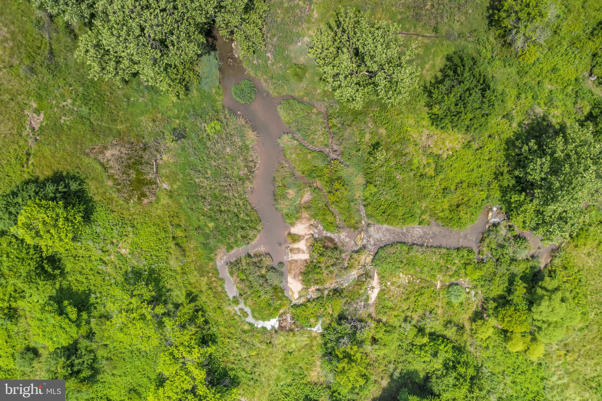 Shepherds Mill Road Berryville, VA 22611 - Photo 6 of 17 Creek access on the property in two different area