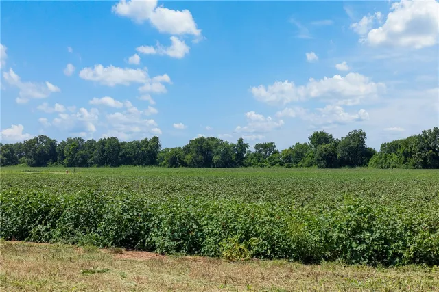 a view of an outdoor space and a yard