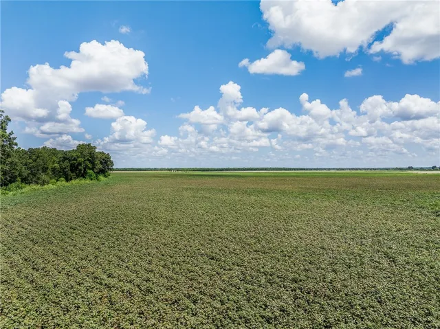 a view of a big yard