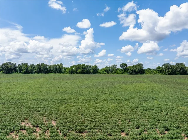$1,051,200 | 0 Farm Road 50, Somerville, TX 77879