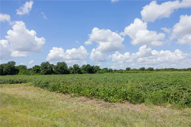 a view of a field of grass and trees