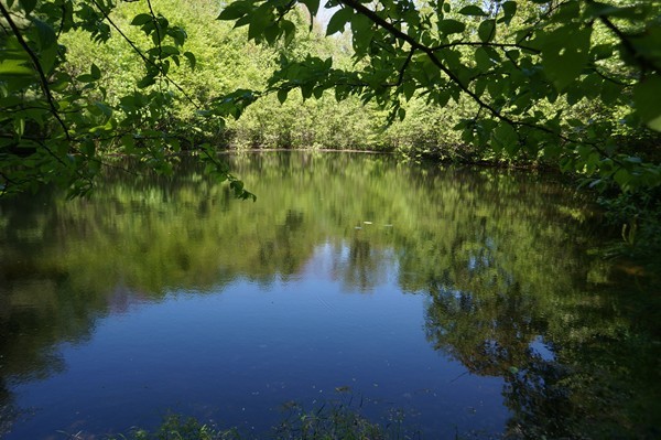 144 Red Acre Road Stow, MA 01775 - Photo 15 of 17 a view of lake