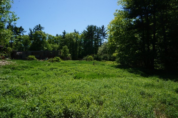 144 Red Acre Road Stow, MA 01775 - Photo 4 of 17 a view of green field with trees in the background