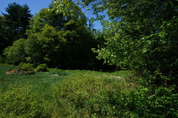 144 Red Acre Road Stow, MA 01775 - Photo 8 of 17 a view of a garden