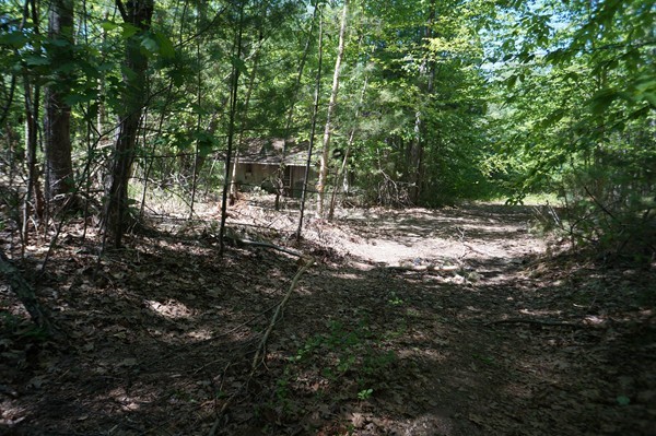 144 Red Acre Road Stow, MA 01775 - Photo 9 of 17 a view of outdoor space and yard