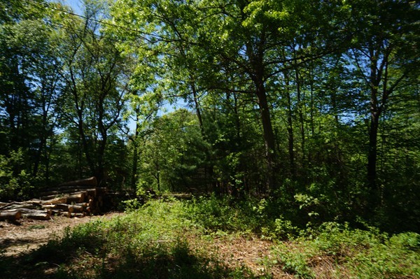 144 Red Acre Road Stow, MA 01775 - Photo 10 of 17 a view of outdoor space and green space