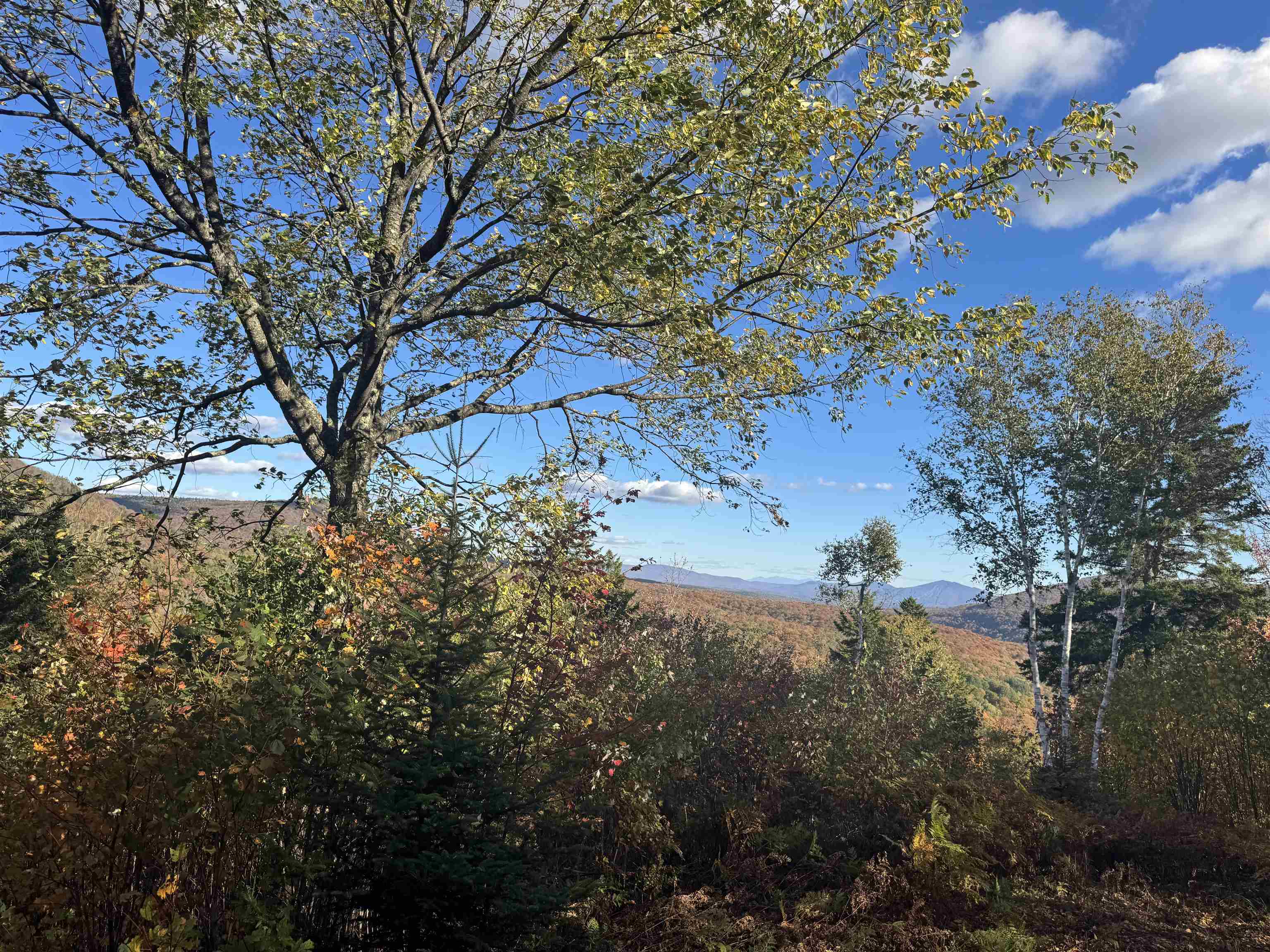 915 Wheeler Mountain Road Barton, VT 05822 - Photo 40 of 45
