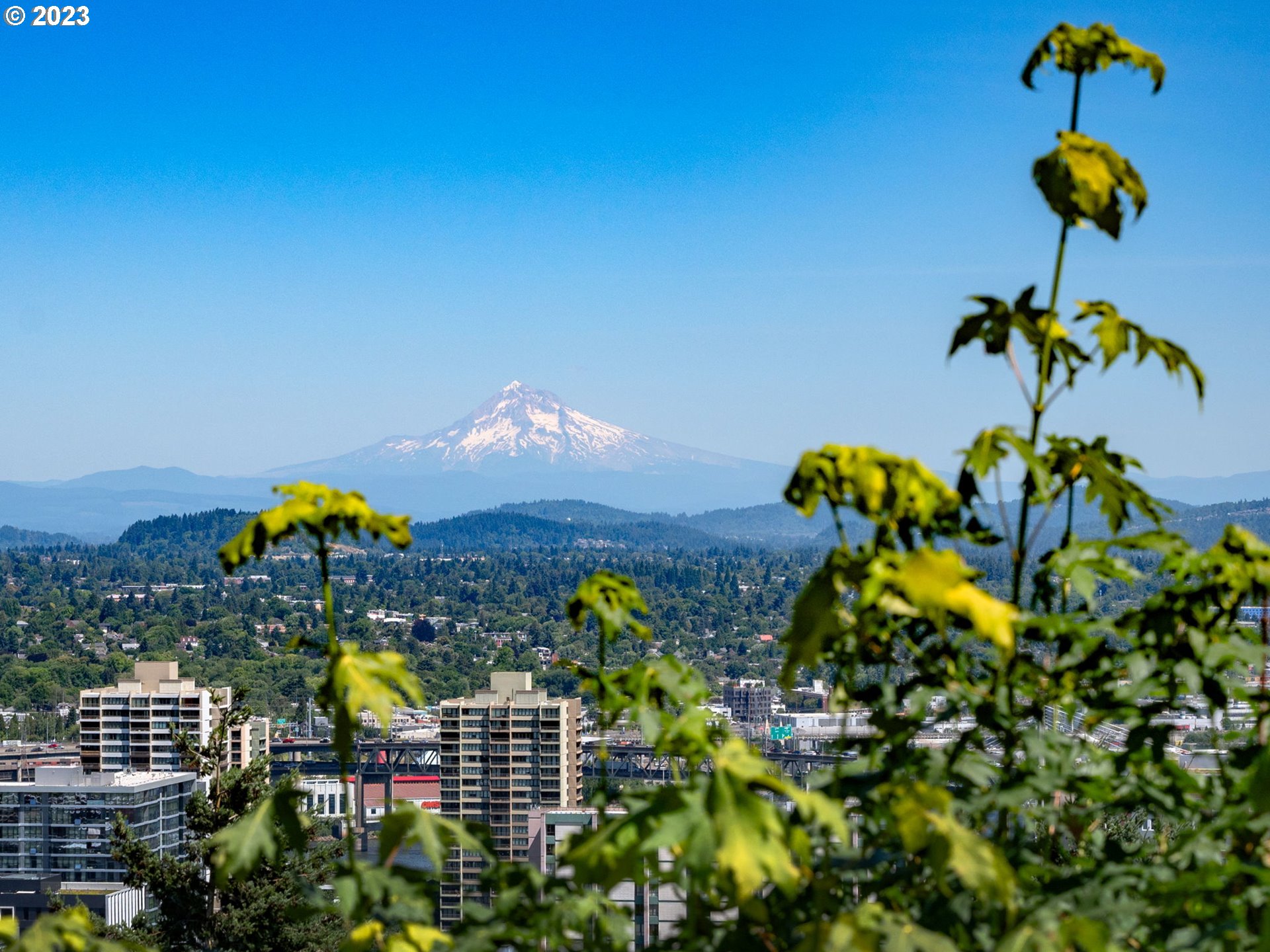 1405 Southwest Cardinell Drive Portland, OR 97201 - Photo 25 of 36