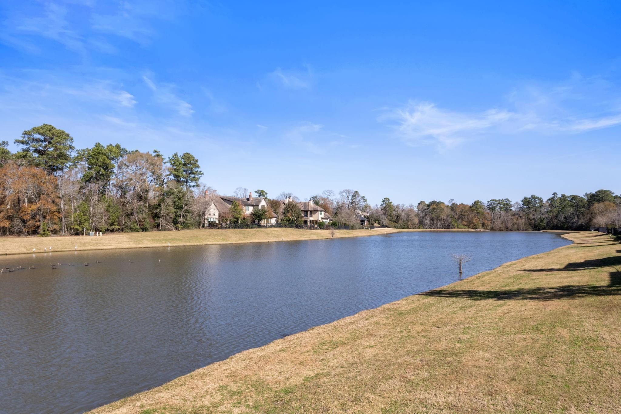 46 Pronghorn Place Spring, TX 77389 - Photo 8 of 11 Gallery Image 8