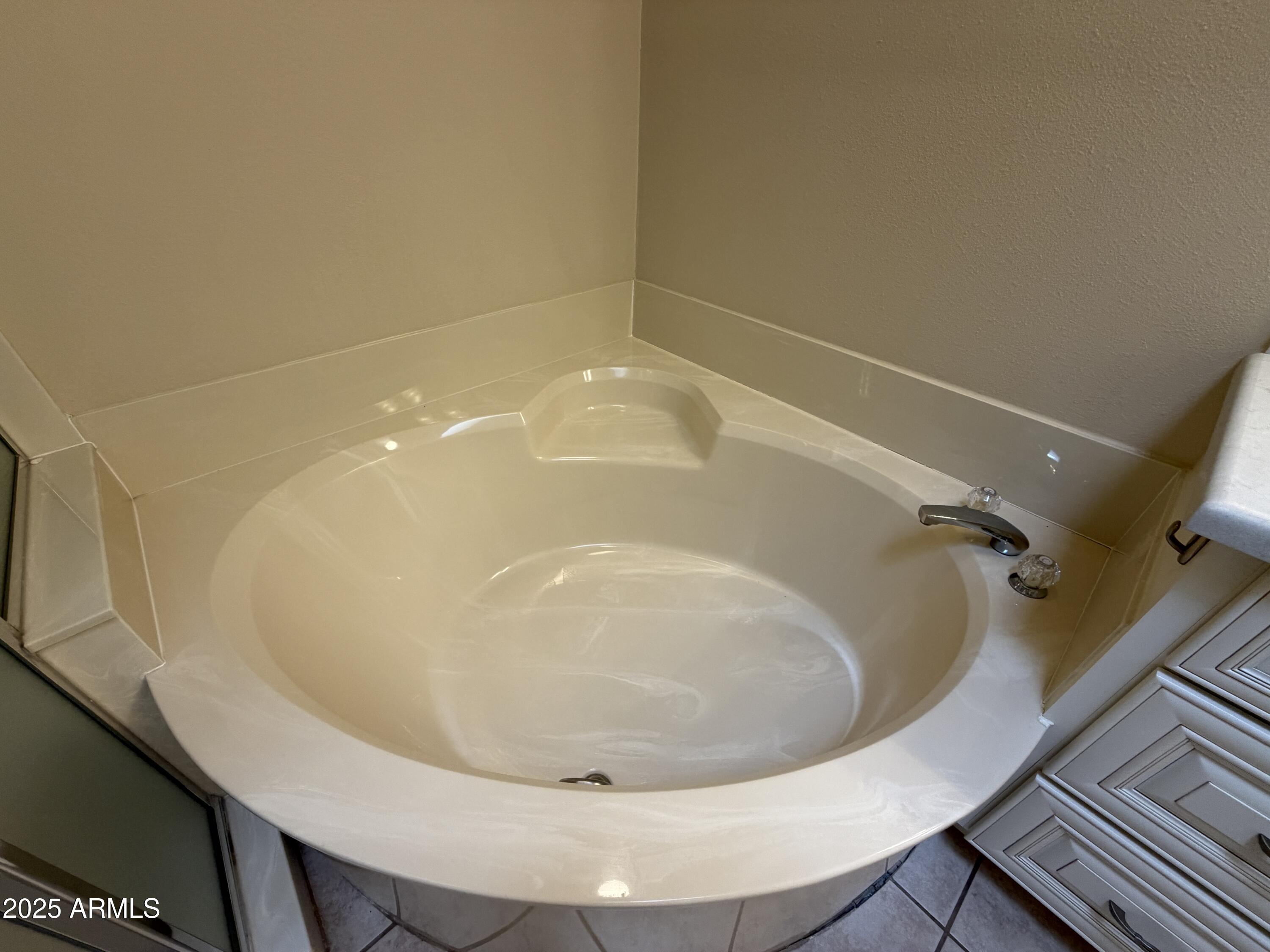 26629 South Sageberry Drive Sun Lakes, AZ 85248 - Photo 23 of 46 IMG_0616