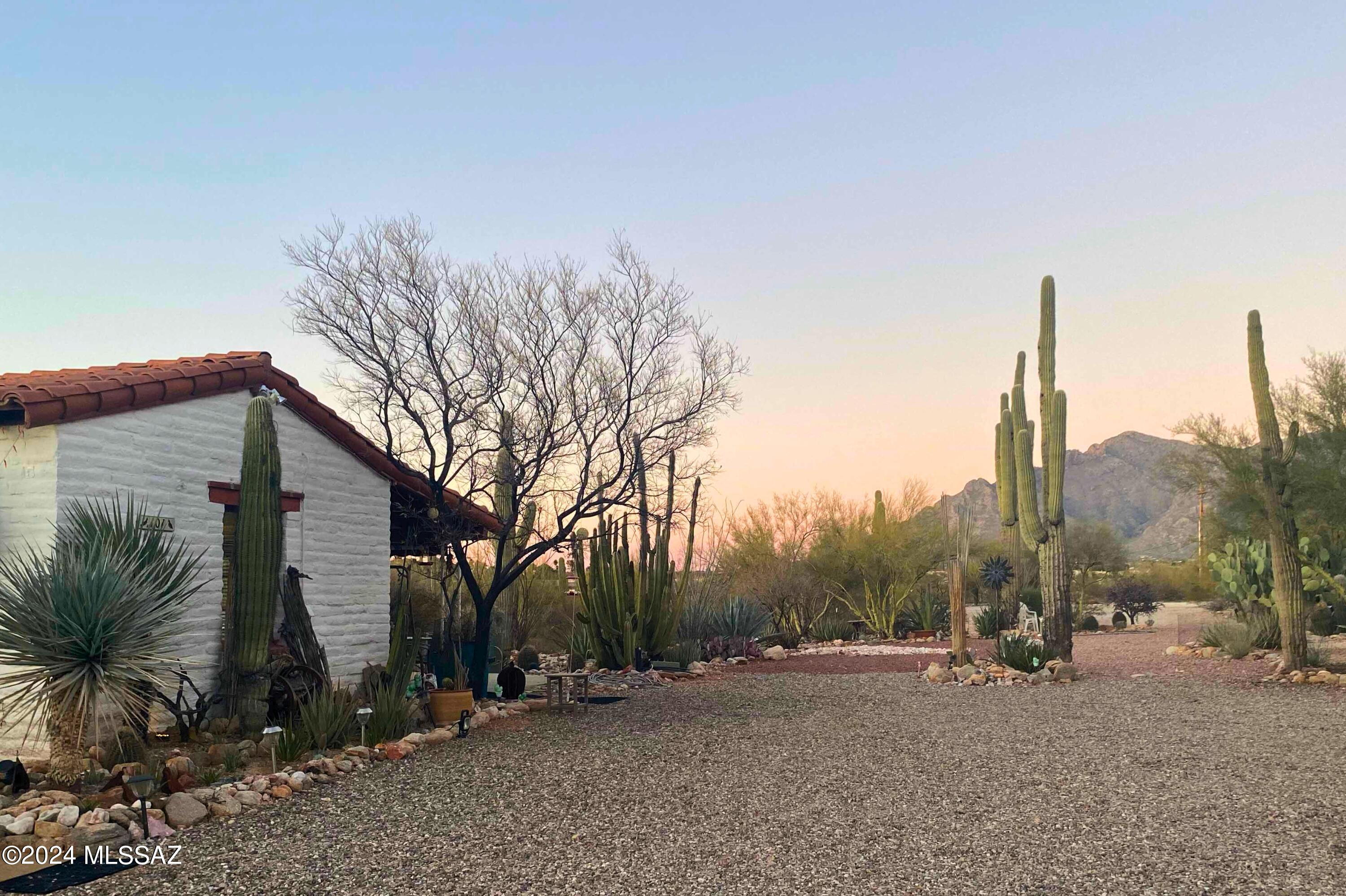 111-101 East Rudasill Road Tucson, AZ 85704 - Photo 30 of 41
