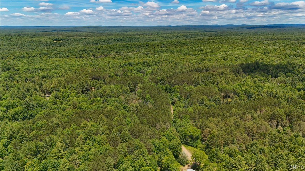 Bellingertown Road Forestport, NY 13338 - Photo 10 of 12