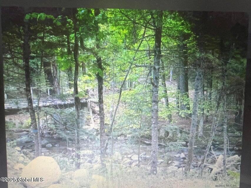 L1.2 Trout Brook Road Hague, NY 12836 - Photo 3 of 6 Shaw3