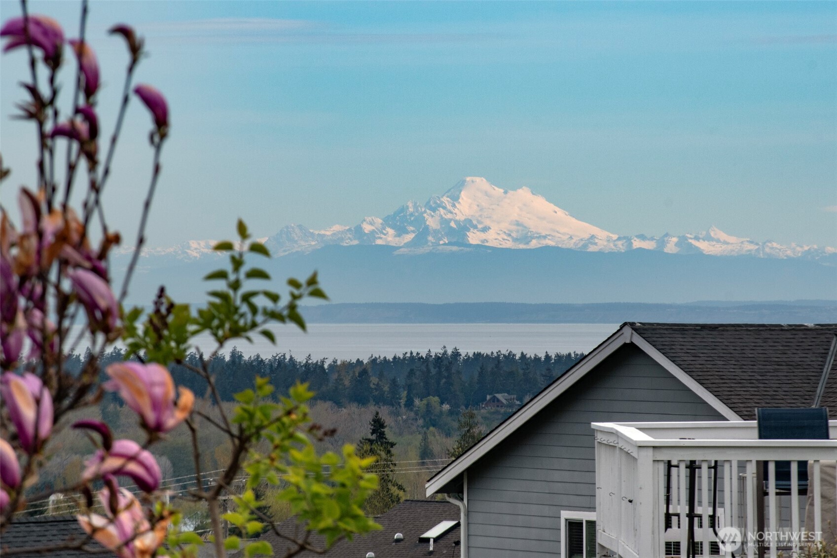 31 Topaz Way Sequim, WA 98382 - Photo 5 of 40