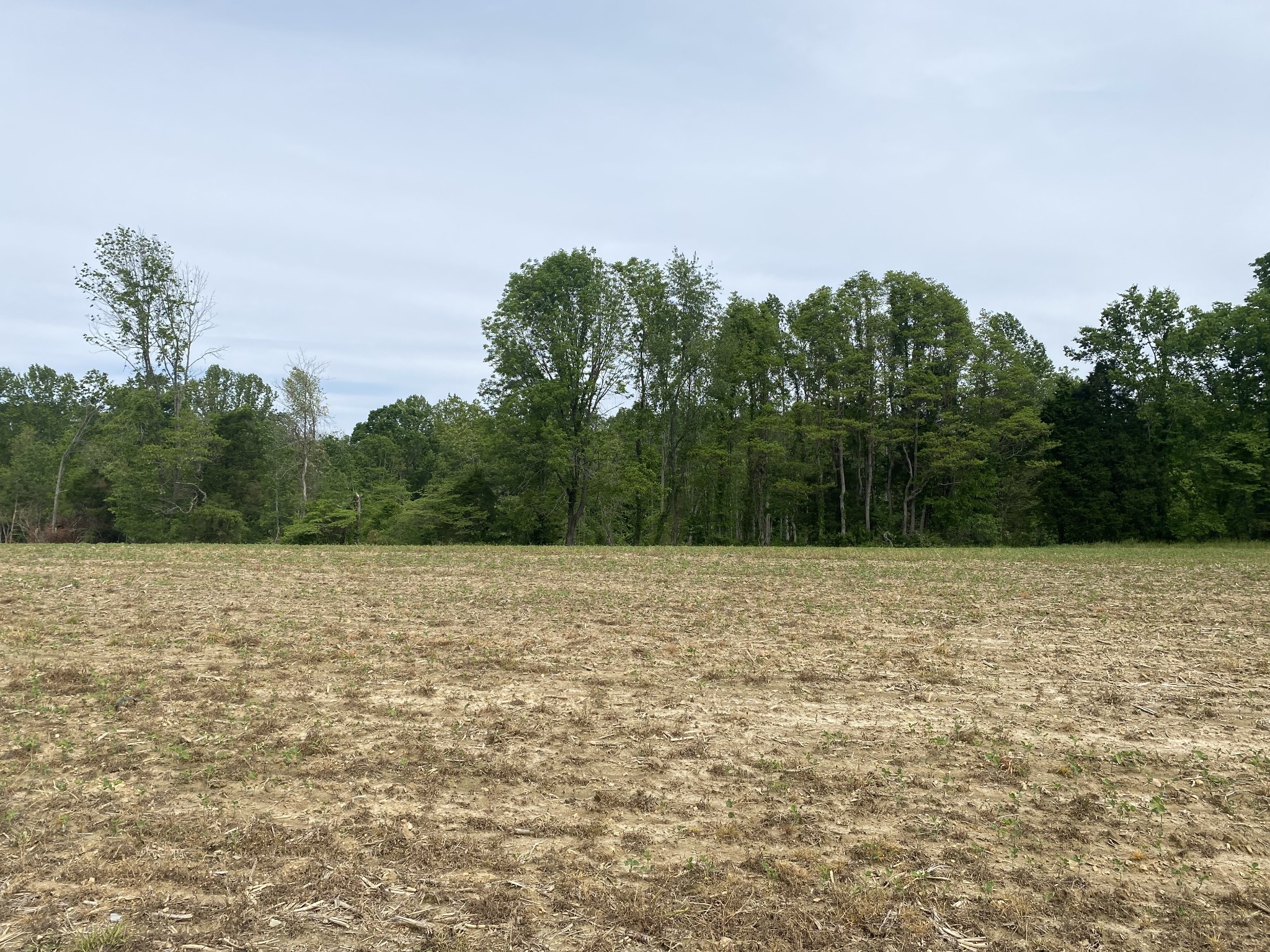 0 Trammel Creek Road Westmoreland, TN 37186 - Photo 12 of 12