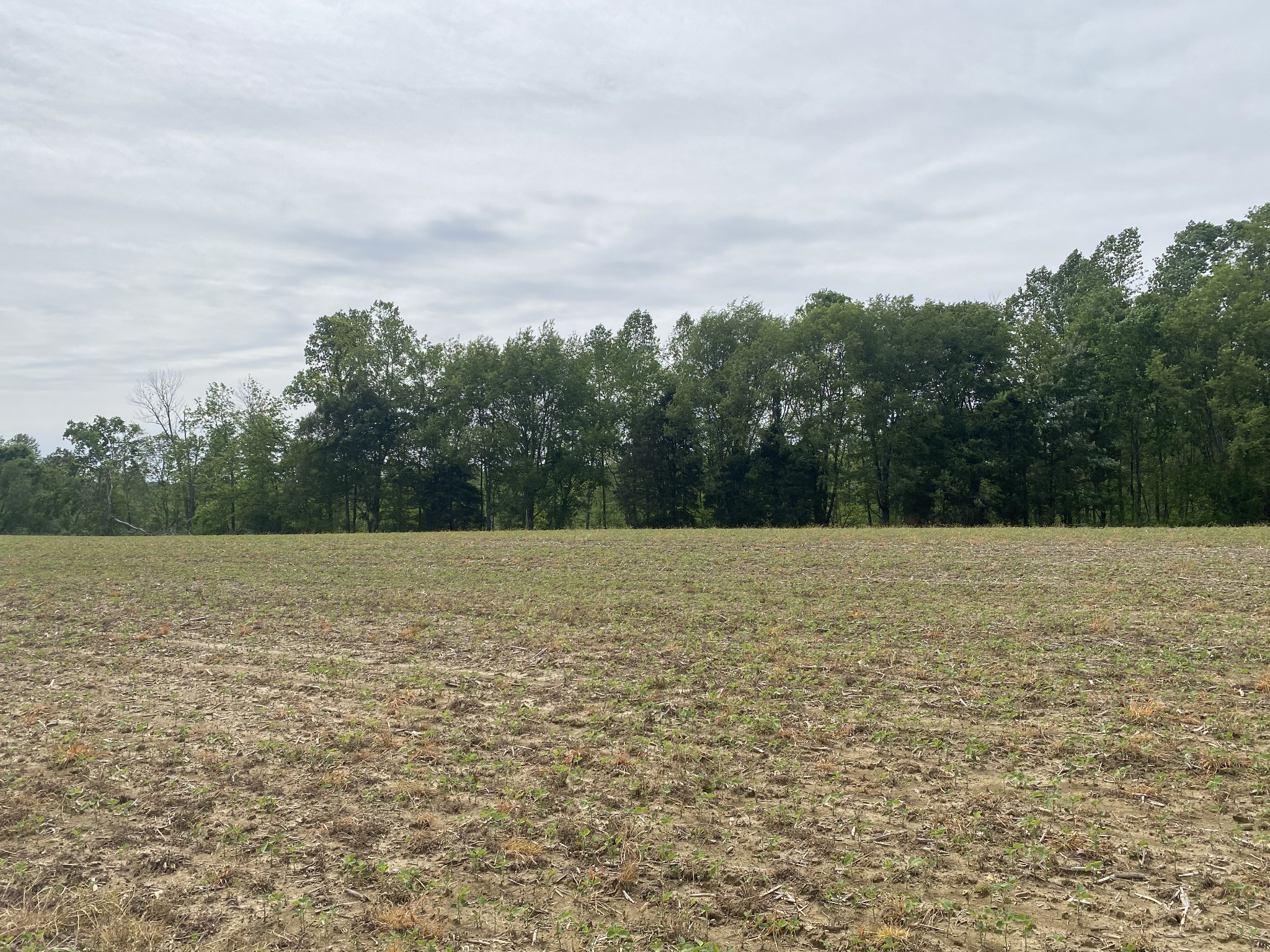 0 Trammel Creek Road Westmoreland, TN 37186 - Photo 8 of 12 a view of a lake view