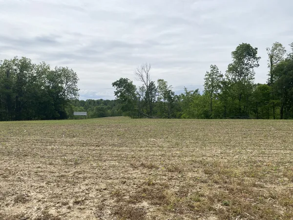 a view of a field with trees in the background