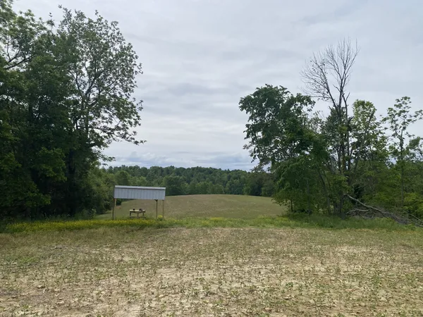 a view of a field with trees in the background