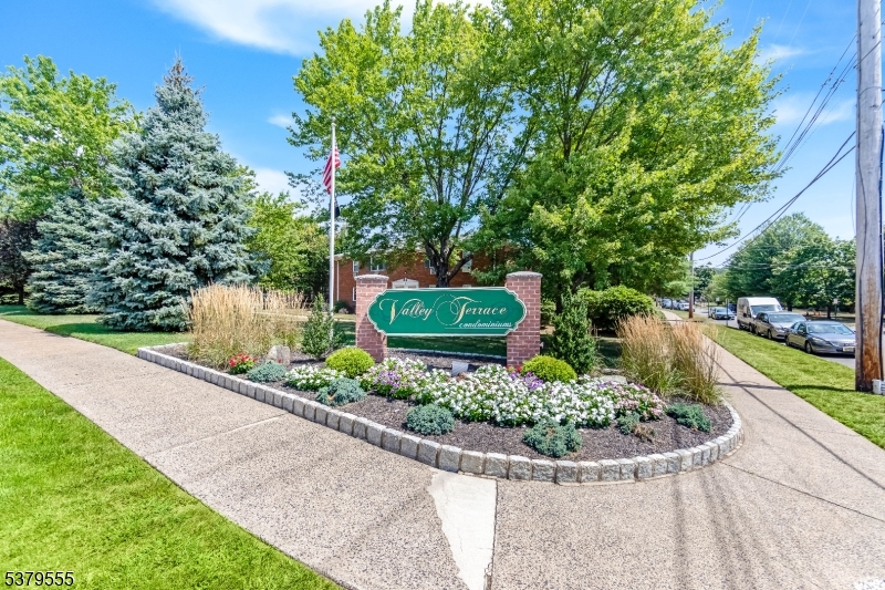 a view of a garden with a fountain