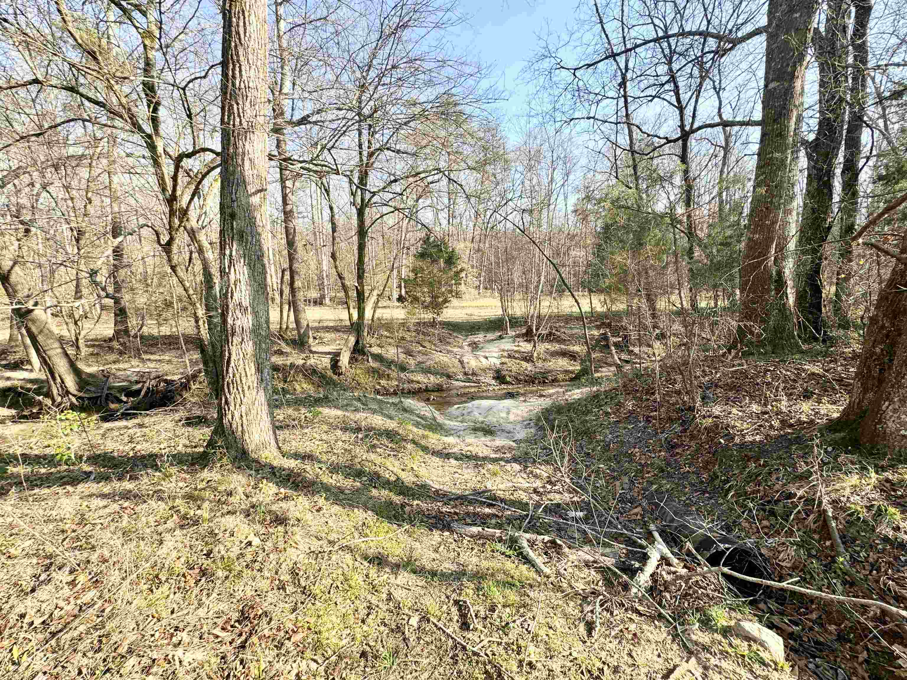 291 Hammett Road Spartanburg, SC 29307 - Photo 24 of 50 Gallery Image 24
