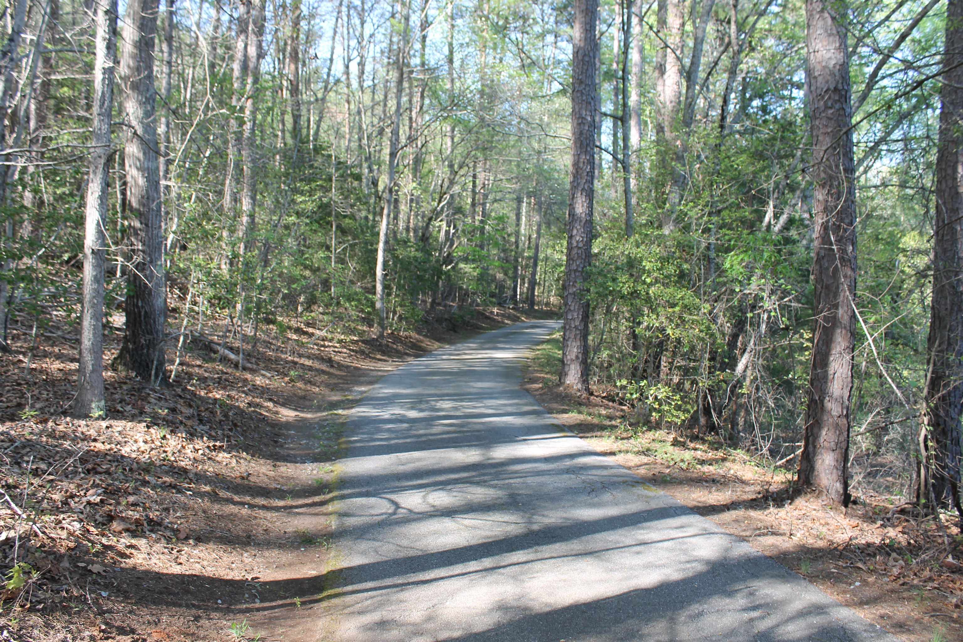 291 Hammett Road Spartanburg, SC 29307 - Photo 3 of 50 Gallery Image 3