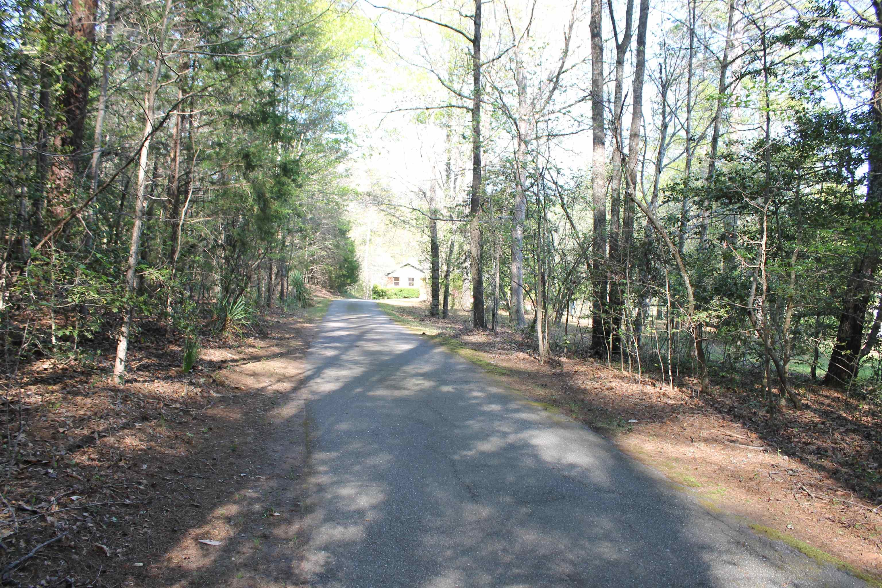 291 Hammett Road Spartanburg, SC 29307 - Photo 4 of 50 Gallery Image 4