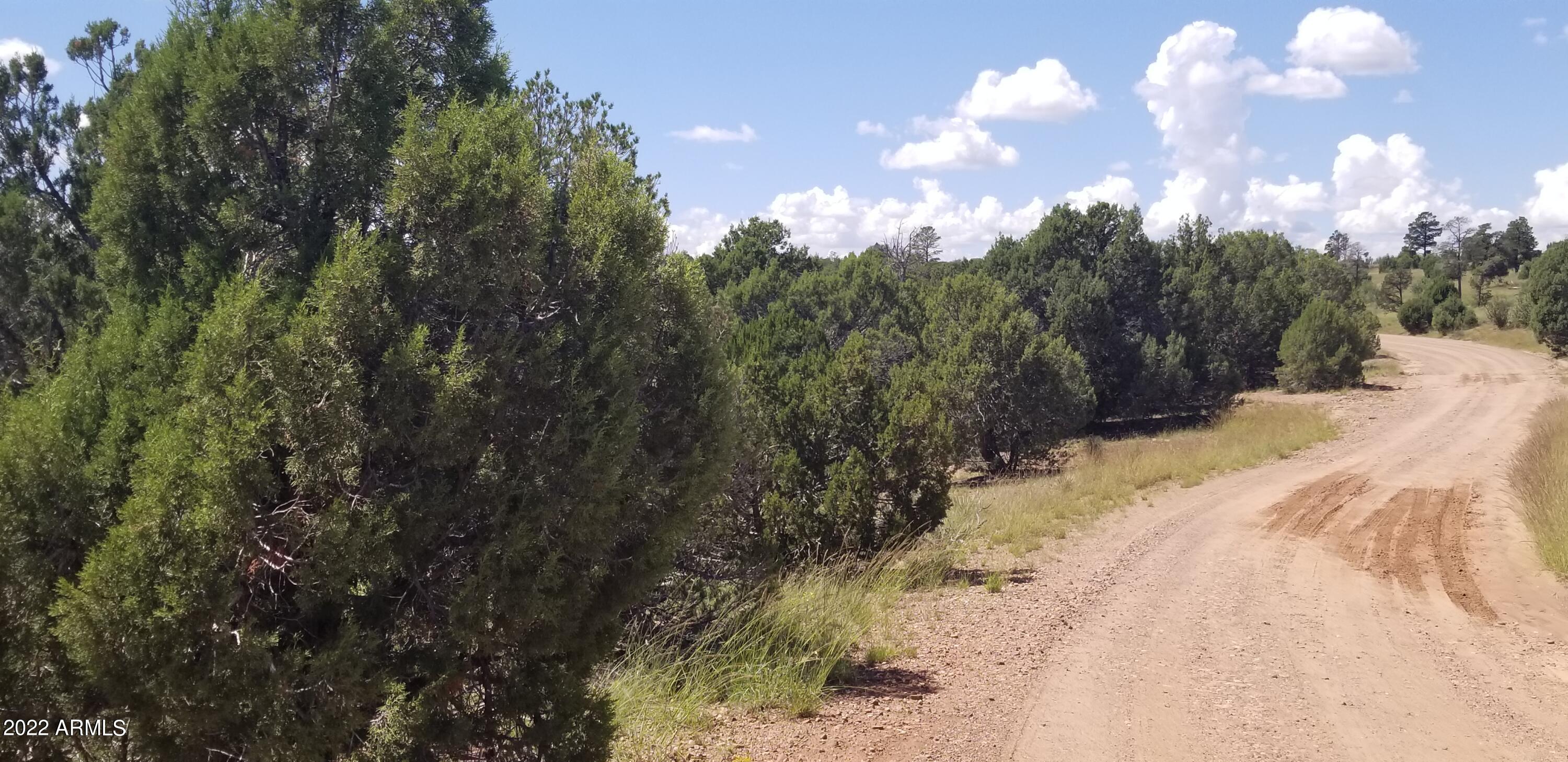 4953 Cemetery Road, Unit 4F Clay Springs, AZ 85923 - Photo 12 of 18 Views13