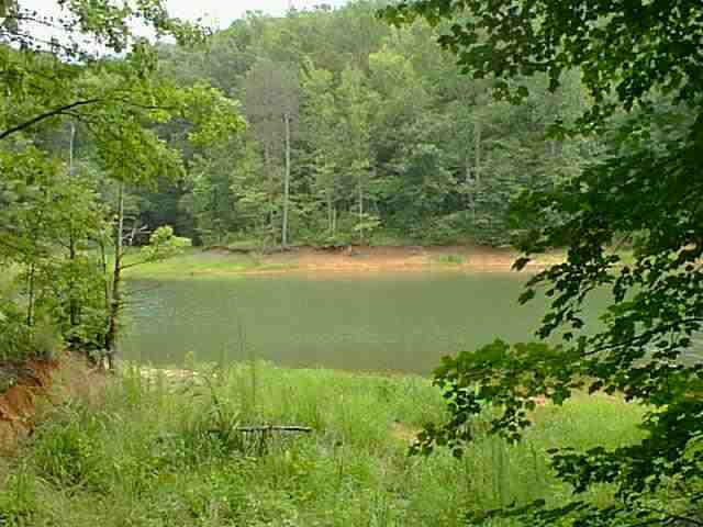 20 Riverbend Road Fair Play, SC 29643 - Photo 1 of 1 Gallery Image 1