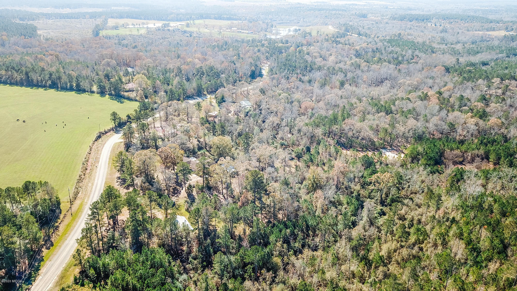 48 Grace Road Knoxville, GA 31050 - Photo 39 of 62 a view of a forest with a forest