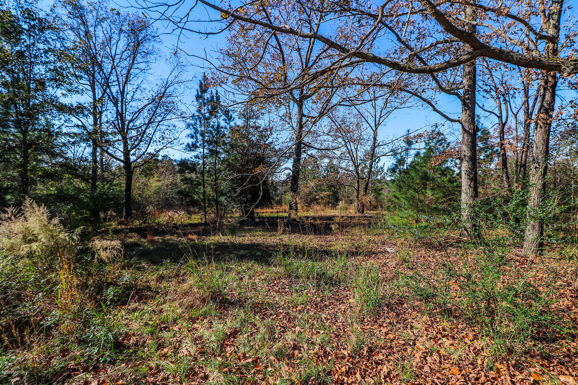 48 Grace Road Knoxville, GA 31050 - Photo 41 of 62 a view of backyard with green space