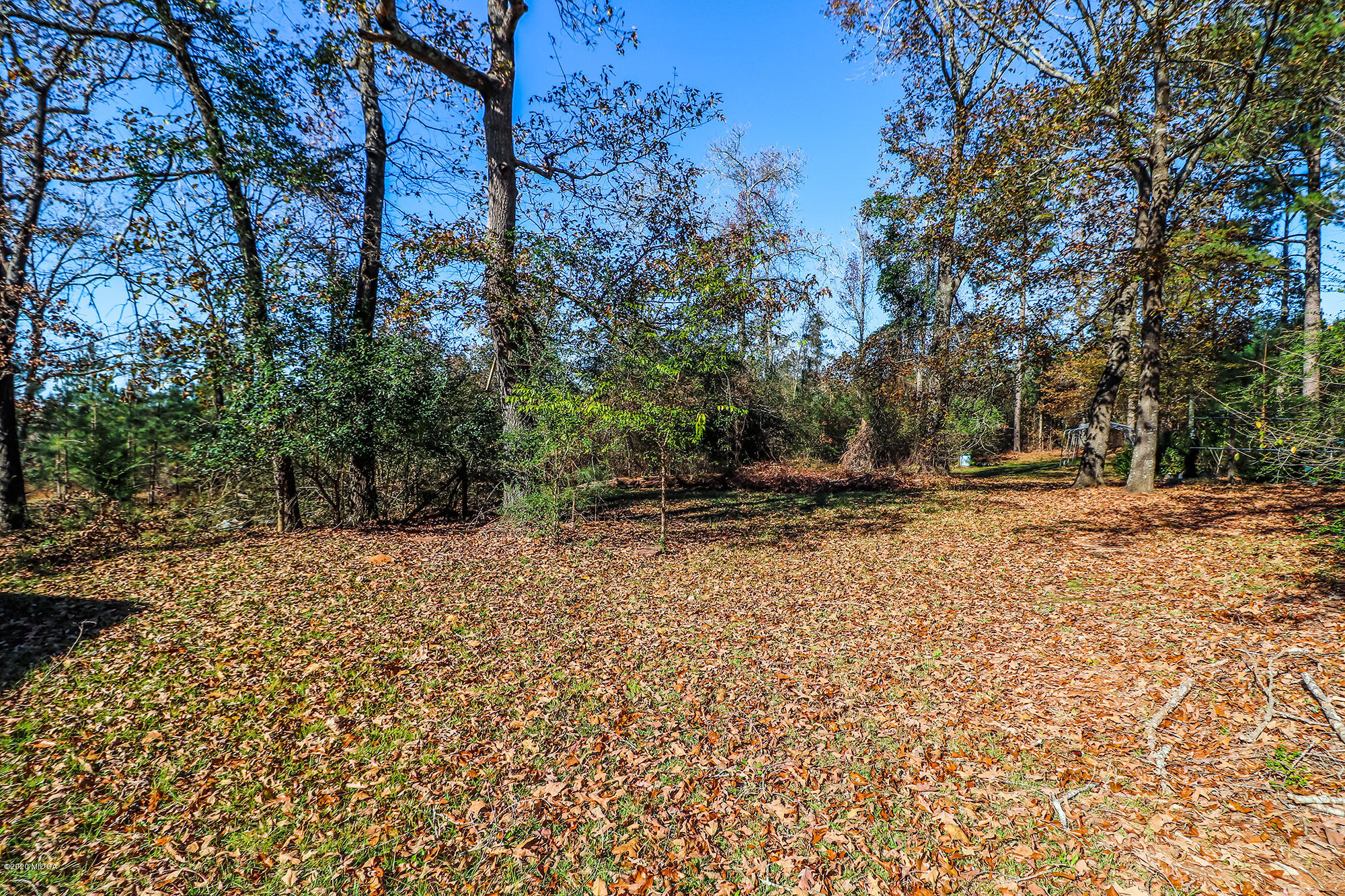 48 Grace Road Knoxville, GA 31050 - Photo 43 of 62 a view of outdoor space with trees