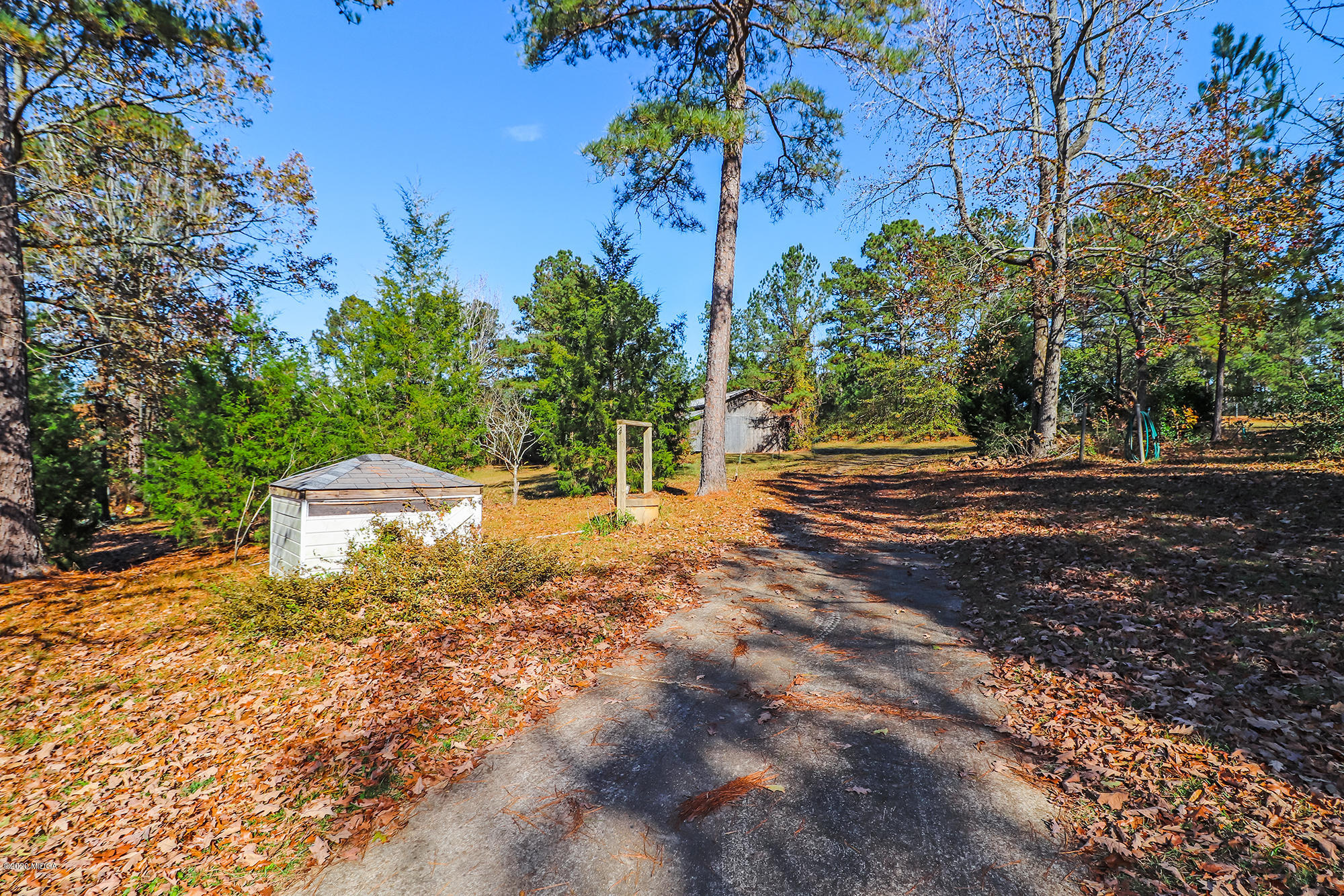 48 Grace Road Knoxville, GA 31050 - Photo 49 of 62 a view of a yard with plants and trees