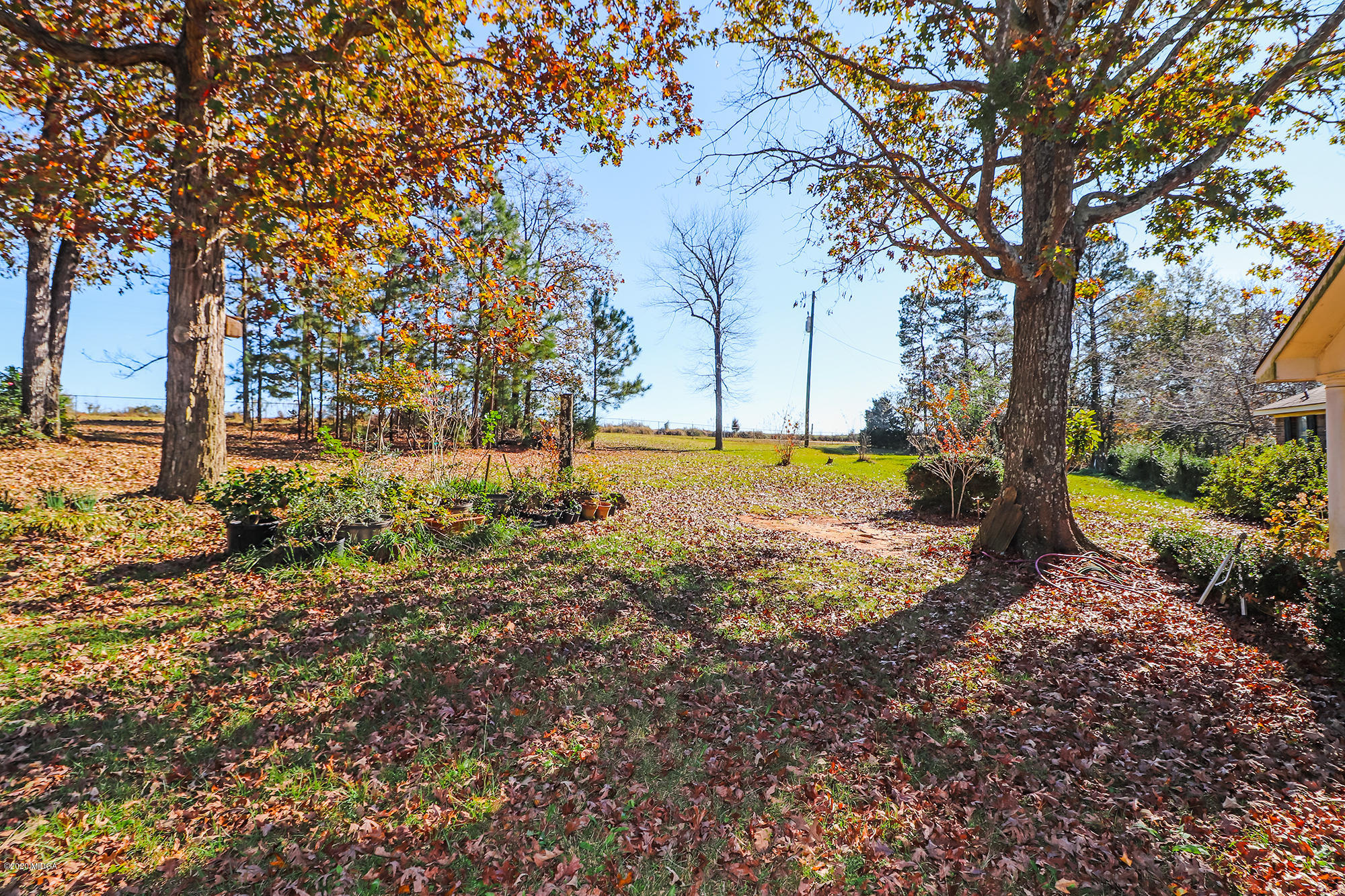 48 Grace Road Knoxville, GA 31050 - Photo 55 of 62 a view of a yard with large trees
