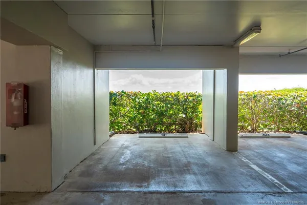 a view of a garden from a window