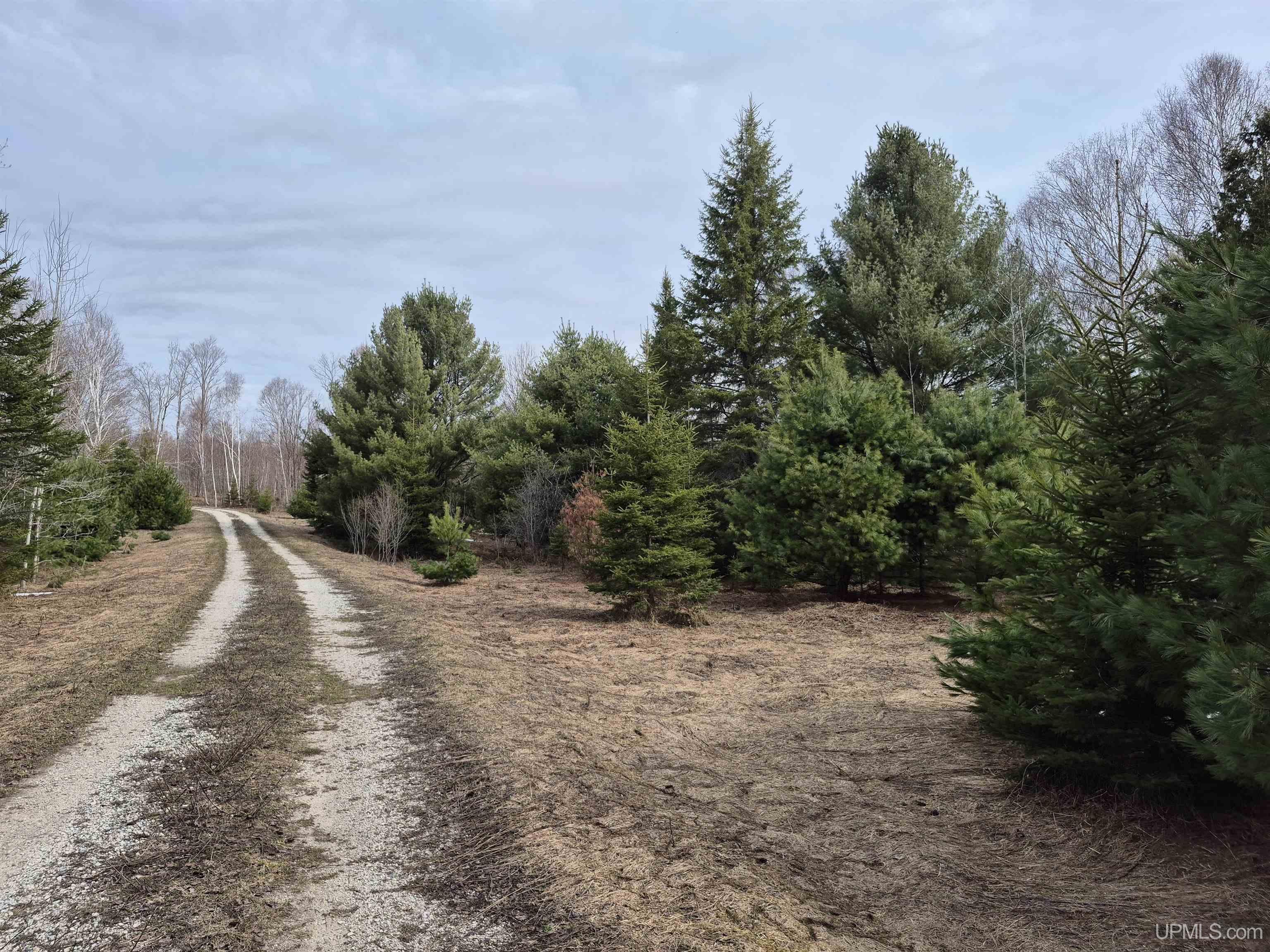 3754 Quarry Road Gulliver, MI 49840 - Photo 3 of 77