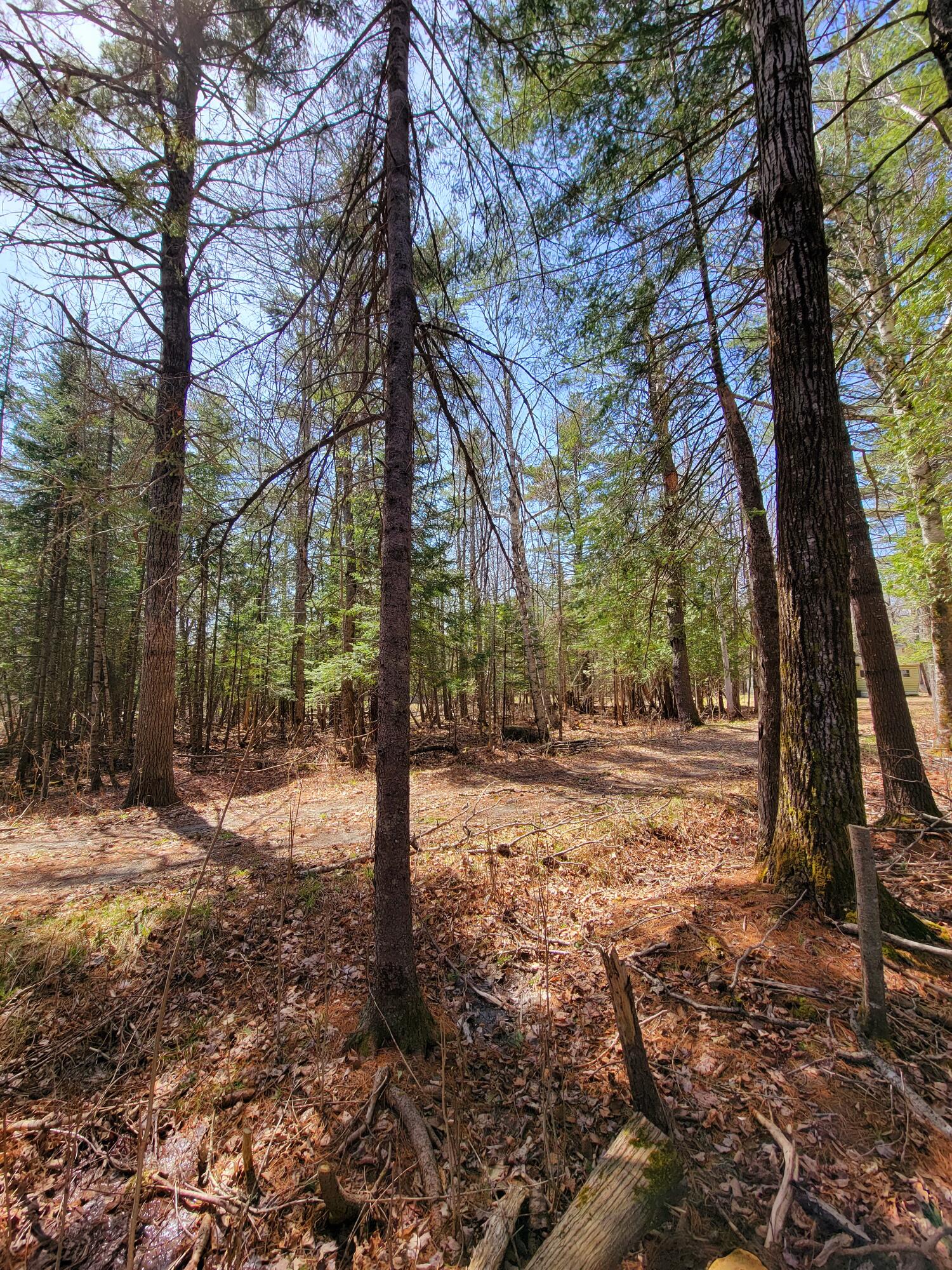 610 York Road Hermon, ME 04401 - Photo 4 of 20 Side of driveway