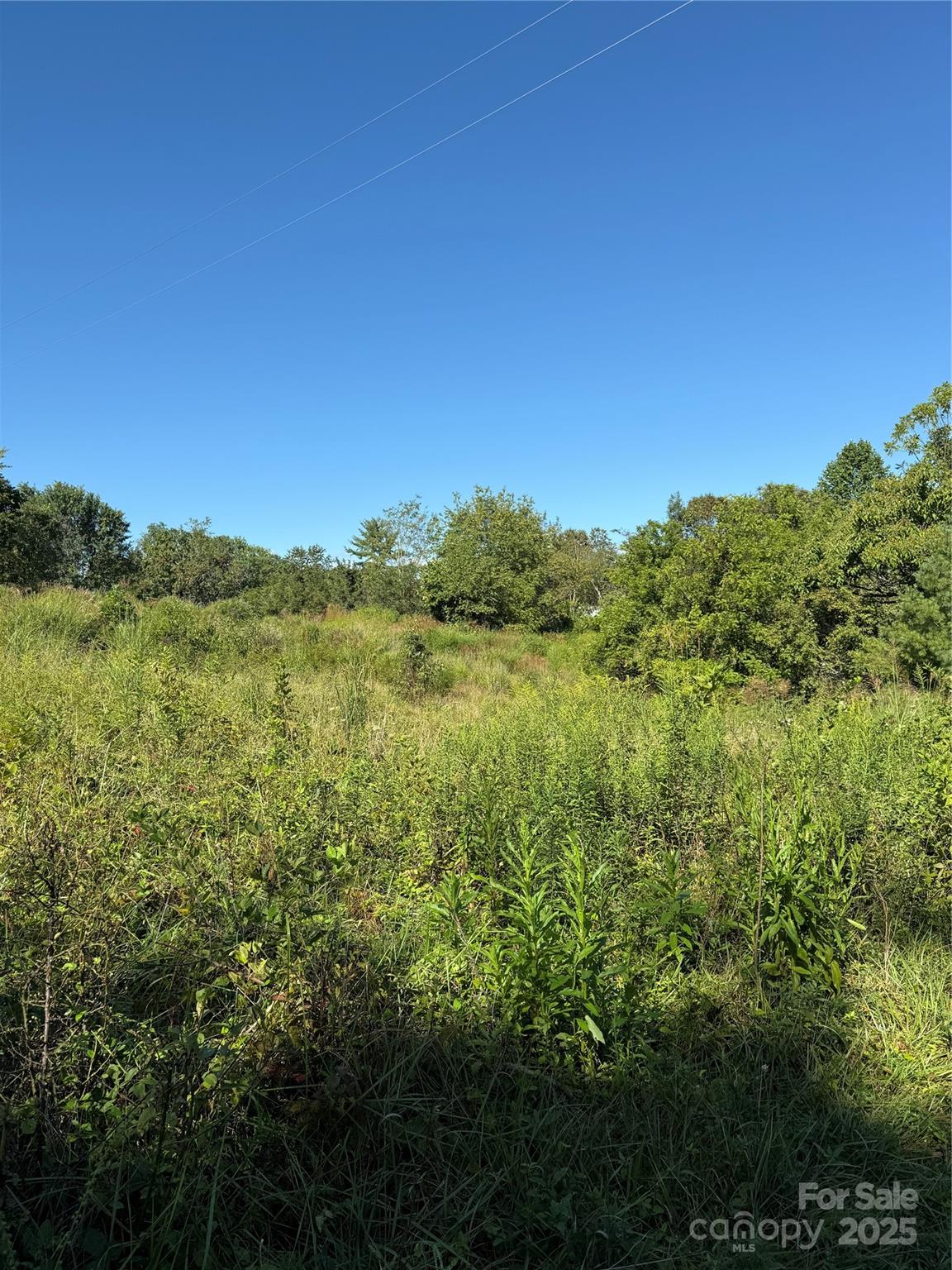 21 Eller Ford Road Weaverville, NC 28787 - Photo 4 of 4