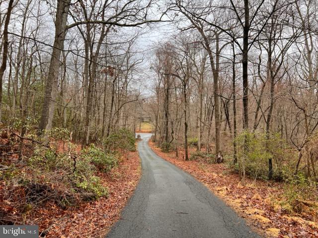 953 Shady Beach Road Elkton, MD 21921 - Photo 54 of 58 Deeded Shared Driveway Access to Property