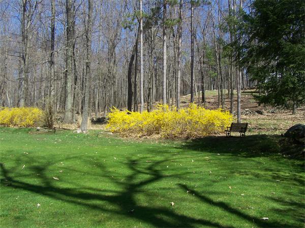 495 Mountain Road Wilbraham, MA 01095 - Photo 26 of 30 Gallery Image 26