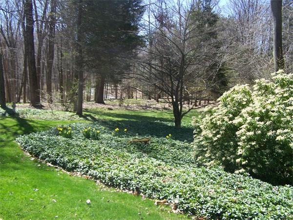 495 Mountain Road Wilbraham, MA 01095 - Photo 30 of 30 Gallery Image 30
