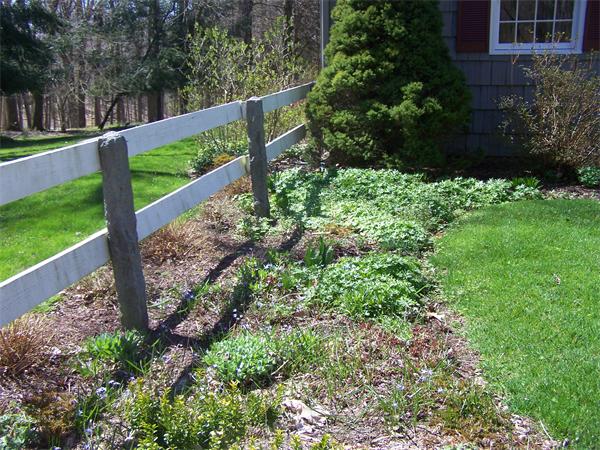 495 Mountain Road Wilbraham, MA 01095 - Photo 3 of 30 Gallery Image 3