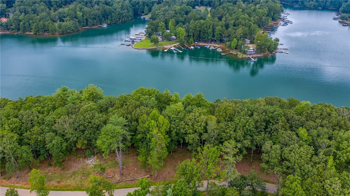 450 Peninsula Ridge Sunset, SC 29685 - Photo 2 of 10 Gallery Image 2