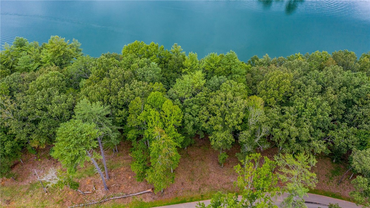 450 Peninsula Ridge Sunset, SC 29685 - Photo 3 of 10 Gallery Image 3