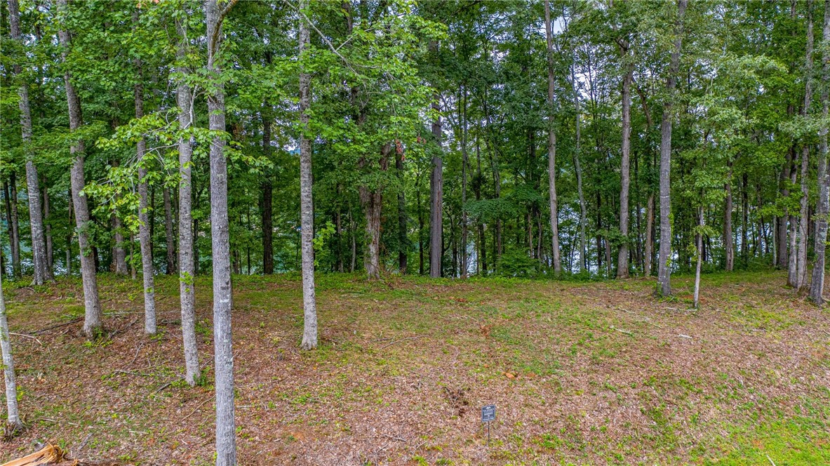 450 Peninsula Ridge Sunset, SC 29685 - Photo 4 of 10 Gallery Image 4