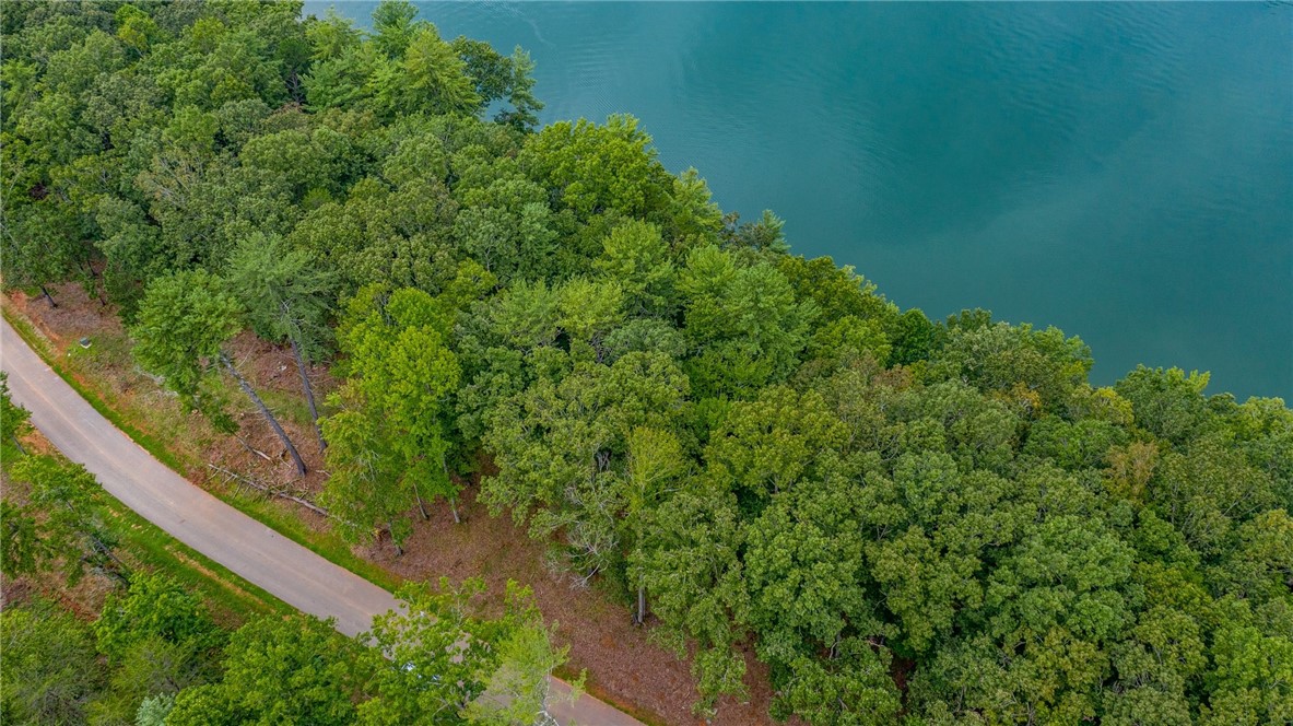 450 Peninsula Ridge Sunset, SC 29685 - Photo 5 of 10 Gallery Image 5