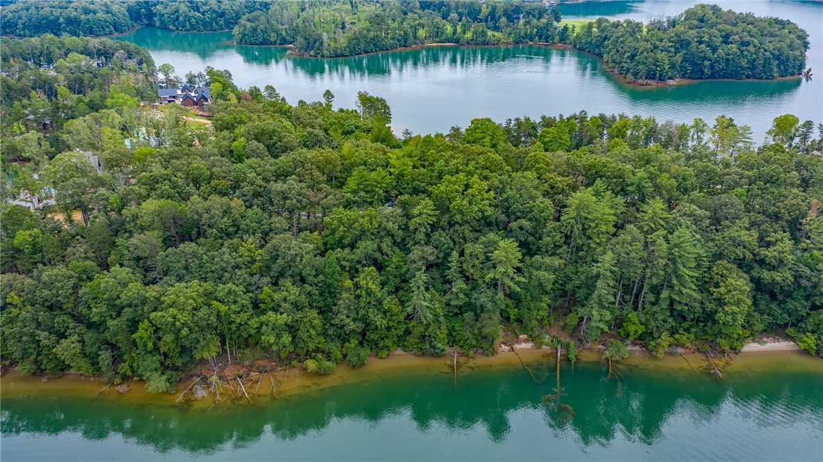 450 Peninsula Ridge Sunset, SC 29685 - Photo 6 of 10 Gallery Image 6
