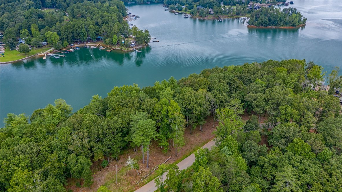 450 Peninsula Ridge Sunset, SC 29685 - Photo 7 of 10 Gallery Image 7